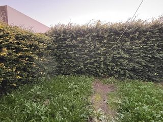 Foto 7 de Casa en  Alquiler