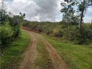 Foto 17 de Parcelación el Bosque - Una Vida Conectada con la Naturaleza-El Carmen