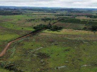 Foto 8 de Venta, Campo, 72 hectáreas, Corral, Arroyo, Garruchos, Corrientes