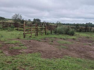 Foto 4 de Venta, Campo, 72 hectáreas, Corral, Arroyo, Garruchos, Corrientes