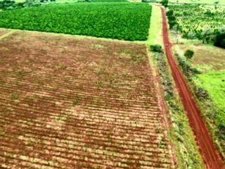 Foto 1 de Venta, Campo, 72 hectáreas, Corral, Arroyo, Garruchos, Corrientes