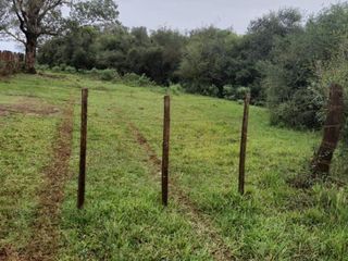 Foto 3 de Venta, Campo, 72 hectáreas, Corral, Arroyo, Garruchos, Corrientes