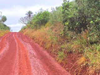 Foto 7 de Venta, Campo, 72 hectáreas, Corral, Arroyo, Garruchos, Corrientes