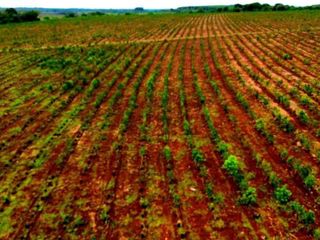 Foto 2 de Venta, Campo, 72 hectáreas, Corral, Arroyo, Garruchos, Corrientes