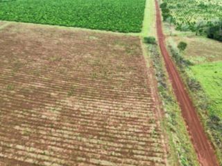 Foto 10 de Venta, Campo, 72 hectáreas, Corral, Arroyo, Garruchos, Corrientes