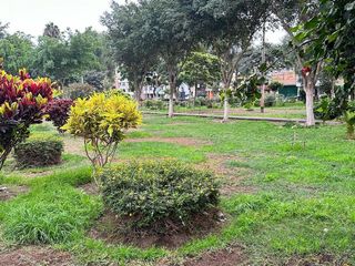 Foto 11 de ¡Ideal para Renta! Edificio de 4 Dptos con Fte a Parque + Azotea