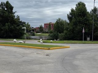 Foto 46 de Casa a la laguna en venta, Barrio Cerrado, Escobar