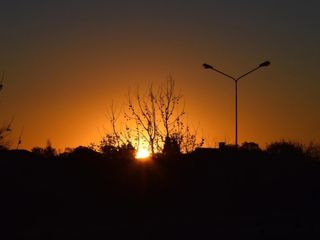 Foto 10 de Terreno en San Ramon