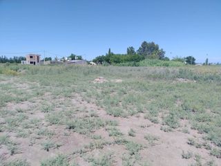 Foto 5 de Terreno 4.500 m2 Rivadavia Mendoza