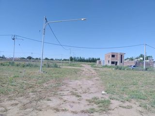 Foto 1 de Terreno 4.500 m2 Rivadavia Mendoza