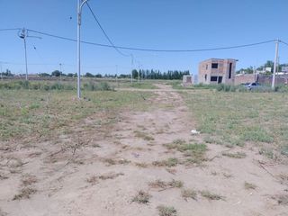 Foto 2 de Terreno 4.500 m2 Rivadavia Mendoza