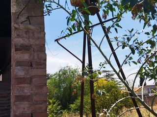 Foto 5 de Venta  Terreno en  Rodeo de la Cruz, Mendoza
