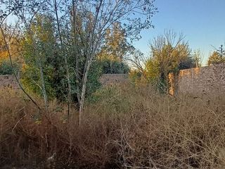 Foto 13 de Venta  Terreno en  Rodeo de la Cruz, Mendoza
