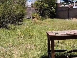 Foto 4 de Venta  Terreno en  Rodeo de la Cruz, Mendoza