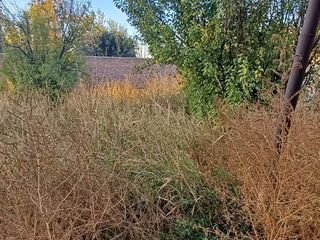 Foto 11 de Venta  Terreno en  Rodeo de la Cruz, Mendoza