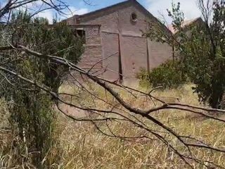 Foto 2 de Venta  Terreno en  Rodeo de la Cruz, Mendoza