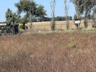Foto 4 de Chacra en Sarratea entre Tucumán y Salta