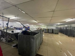 Foto 5 de Atención Inversionistas! EN VENTA Empacadora de Camarón 1450mts-Vía a Daule