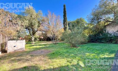 place photo 38