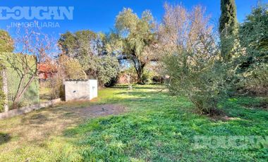 place photo 39