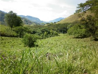 Foto 2 de VENTA LOTE TARSO, SUROESTE ANTIOQUEÑO.