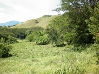 Foto 1 de VENTA LOTE TARSO, SUROESTE ANTIOQUEÑO.