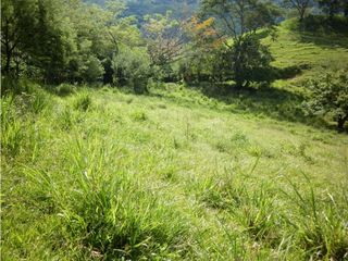 Foto 8 de VENTA LOTE TARSO, SUROESTE ANTIOQUEÑO.