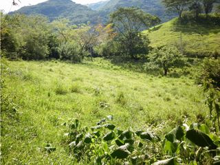 Foto 5 de VENTA LOTE TARSO, SUROESTE ANTIOQUEÑO.