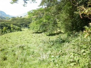Foto 6 de VENTA LOTE TARSO, SUROESTE ANTIOQUEÑO.