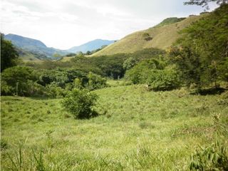 Foto 3 de VENTA LOTE TARSO, SUROESTE ANTIOQUEÑO.