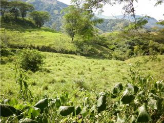 Foto 4 de VENTA LOTE TARSO, SUROESTE ANTIOQUEÑO.