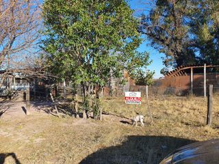 Foto 4 de 1 HECTAREA EN VENTA ZONA ENCON