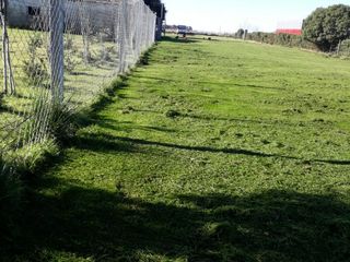 Foto 7 de 4 lotes en venta en Necochea