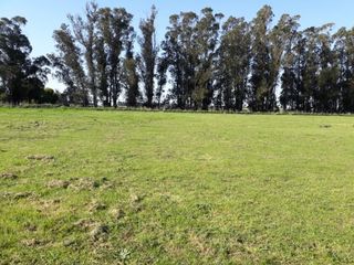 Foto 2 de 4 lotes en venta en Necochea