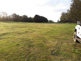 Foto 6 de 4 lotes en venta en Necochea