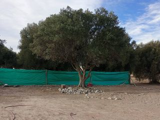 Foto 8 de Casa en venta de 3 dormitorios c/ cochera en Las Paredes