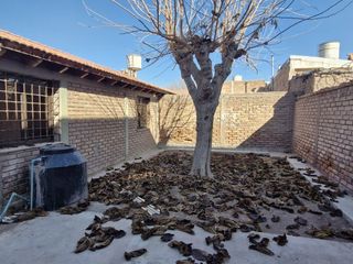 Foto 16 de Casa en alquiler de 3 dormitorios c/ cochera en Maipú