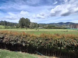 Foto 5 de Apartamento en Arriendo en La Ceja