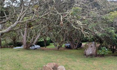 place photo 63
