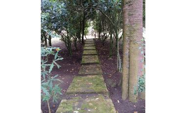 place photo 71