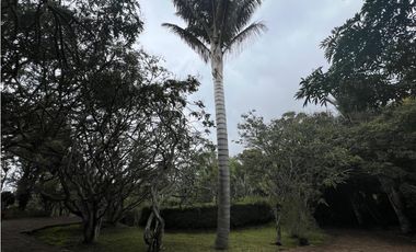 place photo 65