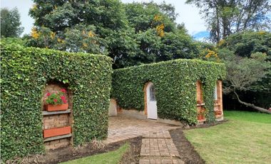 place photo 46