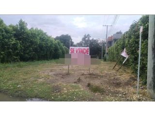 Foto 17 de POBLADO SAN MARCOS RICAURTE CUND VENTA LOTE 423M2 $100 MILLONES