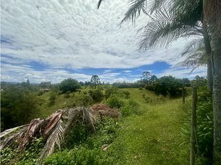 Foto 10 de Venta de Finca en Rionegro Ojo de Agua