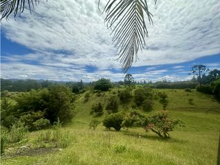 Foto 6 de Venta de Finca en Rionegro Ojo de Agua