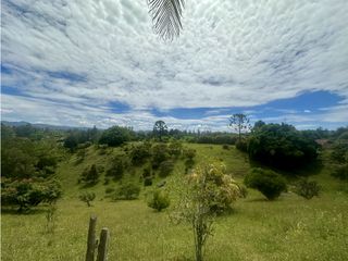 Foto 4 de Venta de Finca en Rionegro Ojo de Agua