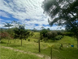 Foto 11 de Venta de Finca en Rionegro Ojo de Agua