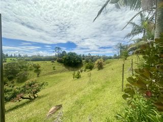 Foto 12 de Venta de Finca en Rionegro Ojo de Agua