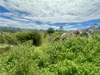 Foto 8 de Venta de Finca en Rionegro Ojo de Agua
