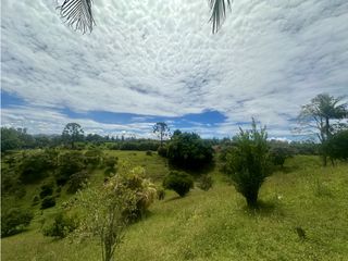 Foto 5 de Venta de Finca en Rionegro Ojo de Agua